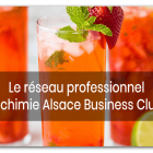 Agence alchimie alsace marlenheim reseau professionnel