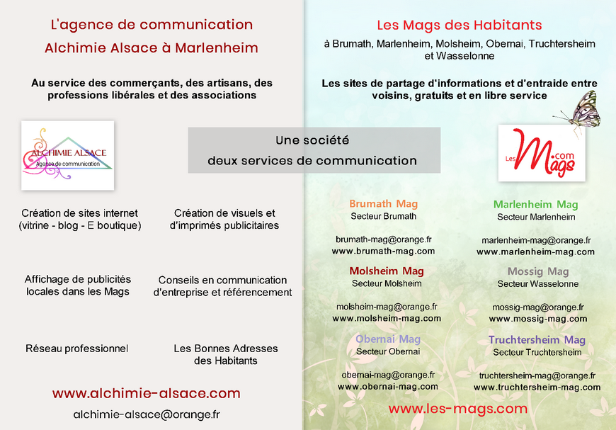 Organigramme de la societe alchimie alsace